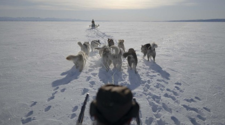 Kenapa Greenland Ogah Gabung dengan Denmark dan AS?